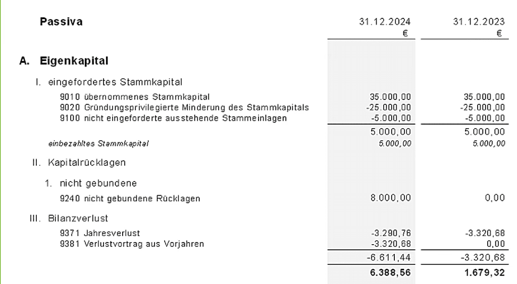 Bilanz mit getätigter Gesellschaftereinlage, wodurch negatives Eigenkapital verhindert wurde
